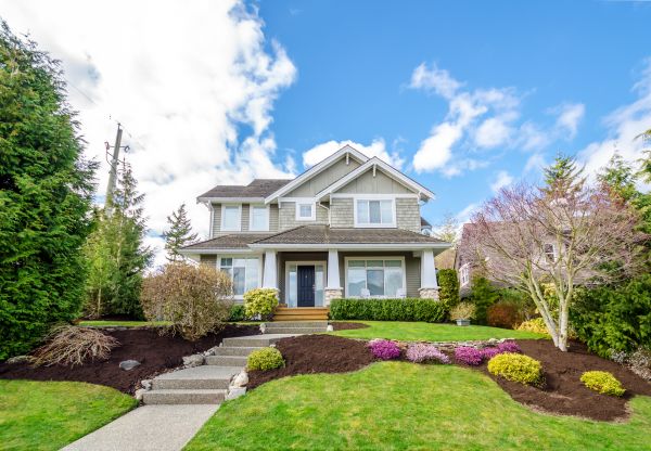 Landscaping Replacement in Odessa