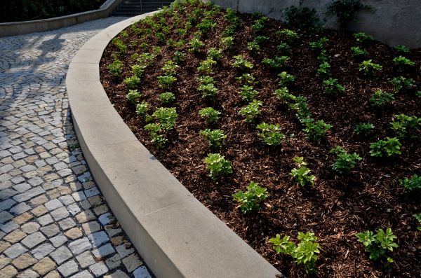 Commercial Mulching in Odessa