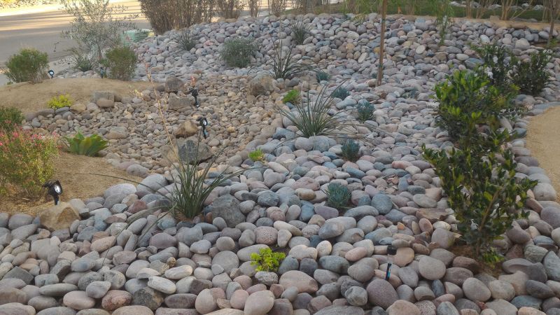 Dryscape Landscaping