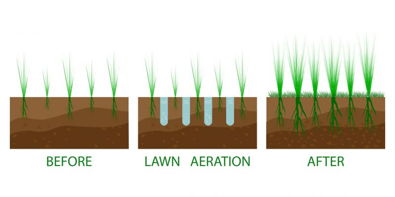 Lawn Erosion Repair detail