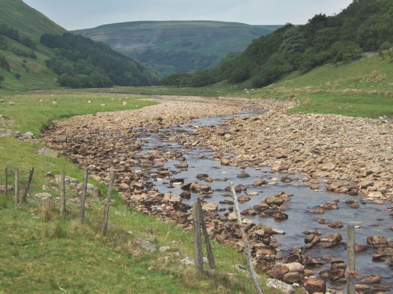 Sloped Yard Landscaping